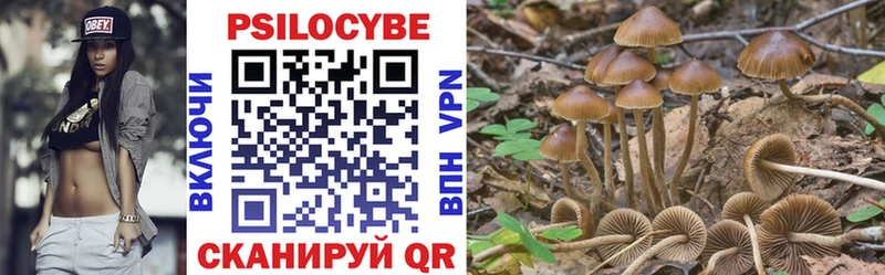 Псилоцибиновые грибы Magic Shrooms  Купить закладки  Истра 